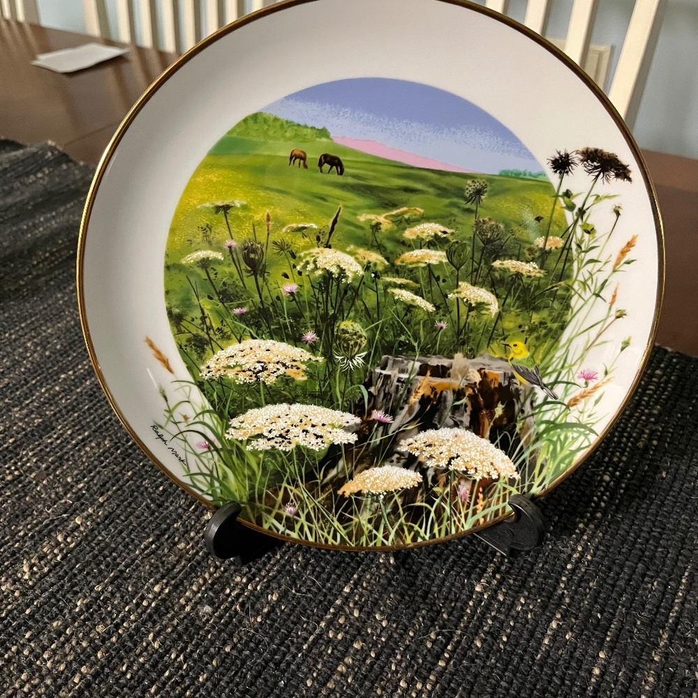 Royal Windsor “ wildflowers of the south” collector plate